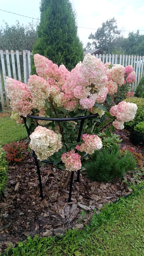 Кустодержатель универсальный